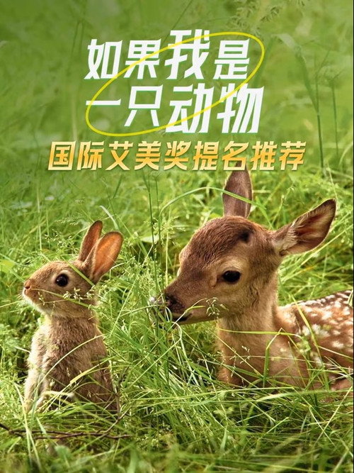如果我是一只动物海报