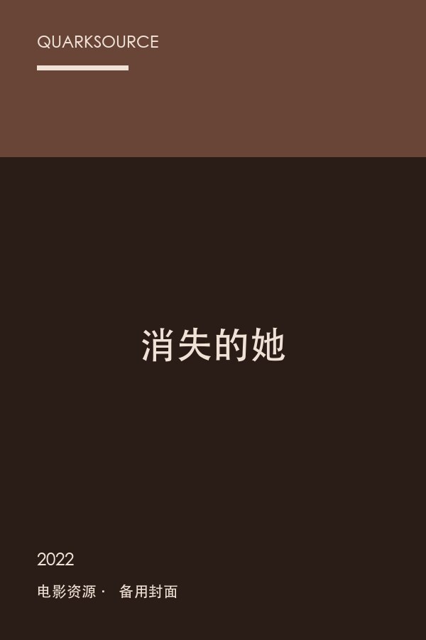 消失的她海报