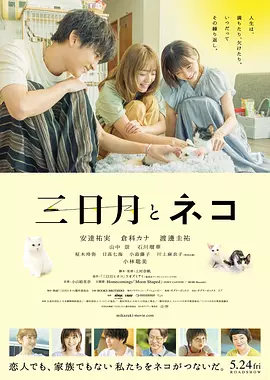 三日月与猫 (2024)丨6.5分丨安达佑实/仓科加奈/渡边圭祐主演 冷门治愈电影推荐 日语中字海报