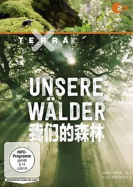 我们的森林 (2017)丨9.2分丨冷门高分纪录剧集推荐 全3集海报