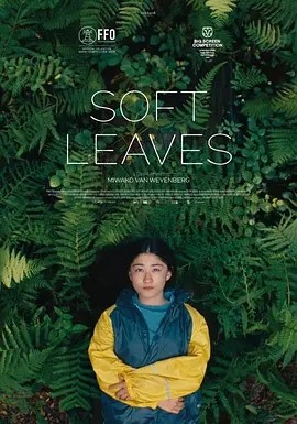 温柔的叶子 (2025)丨鹿特丹国际电影节 大银幕奖 最佳影片(提名)海报