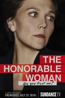 荣耀之女 (2014)丨8.0分丨玛吉·吉伦哈尔主演高分惊悚剧 全8集 英语中字海报