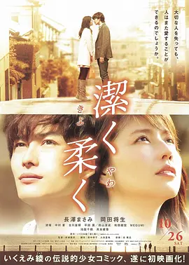 纯净脆弱的心 (2013)丨6.5分 丨长泽雅美/冈田将生主演 日语中字海报