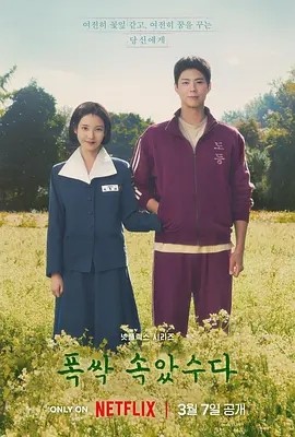苦尽柑来遇见你 (2025) 丨李知恩 / 朴宝剑主演丨剧情 / 爱情丨韩剧丨豆瓣9.4分丨全16集丨又名: 辛苦了海报