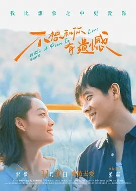 不想和你有遗憾 (2024)丨主演: 丞磊 / 索微海报