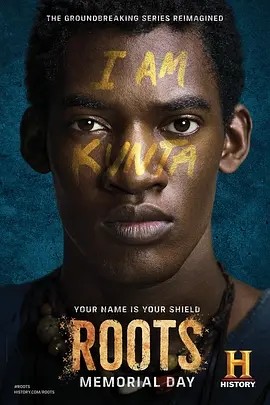 根 Roots (2016)丨8.8分丨冷门高分历史剧集推荐 全4集 英语中字海报