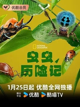 虫虫历险记 (2024)海报