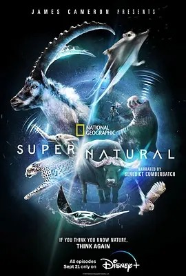 超凡动物奇观 (2022)丨9.5分海报