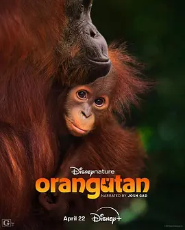 红毛猩猩 (2026) 丨乔什·加德主演丨纪录片丨美国电影海报