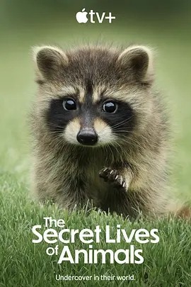动物的秘密生活 The Secret Lives of Animals (2024)海报