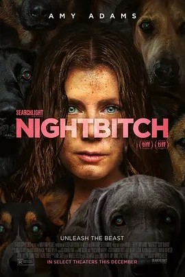 夜母 Nightbitch (2024)丨5.8分丨金球奖 电影类 音乐/喜剧片最佳女主角(提名)海报
