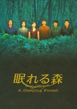 沉睡的森林 (1998) 丨木村拓哉 / 中山美穗主演丨剧情 / 悬疑丨日剧丨豆瓣8.0分丨全12集丨又名: 沉睡森林海报