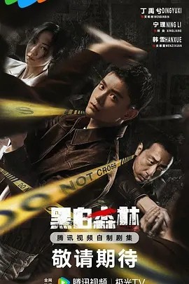 黑白森林 (2024)海报