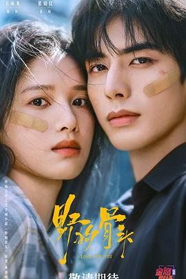 野狗骨头 (2026) 丨宋威龙 / 张婧仪主演丨剧情 / 爱情丨国剧丨又名: 莫道桑榆晚海报