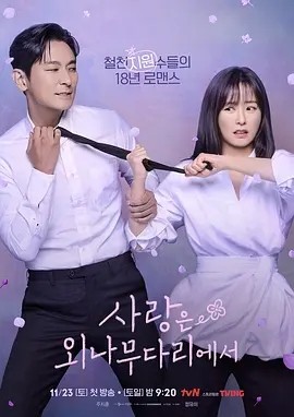 爱在独木桥 사랑은 외나무다리에서 (2024)海报