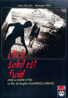太阳最寒冷的地方 (1991)丨8.6分丨冷门高分电影推荐海报