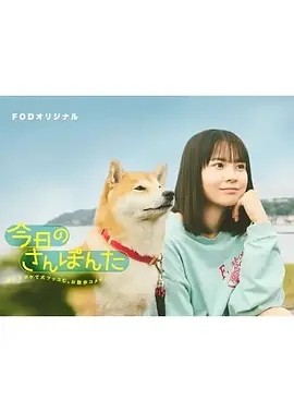 日剧丨今日份的散步 今日のさんぽんた (2025)丨新谷柚实 / 安田显海报