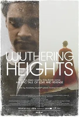 呼啸山庄 Wuthering Heights (2011)丨6.6分海报