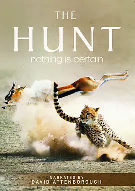 纪录片丨猎捕 The Hunt (2015)丨9.7分海报