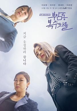付岩洞复仇者们 (2017) 丨李枖原 / 罗美兰主演丨喜剧 / 悬疑丨韩剧丨豆瓣8.3分丨全12集丨又名: 大妈复仇联盟(港)海报