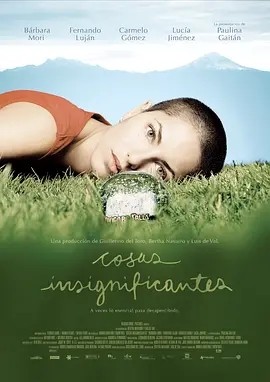 微不足道的事情 (2008)丨7.5分丨冷门剧情片推荐 西班牙语中字海报