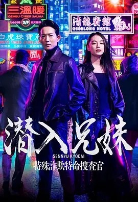 日剧丨潜入兄妹 特殊诈欺特命搜查官 (2024)丨5.9分丨全10集+前传海报