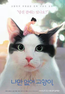 只有我没有猫 (2019)丨6.9分丨冷门奇幻电影推荐海报