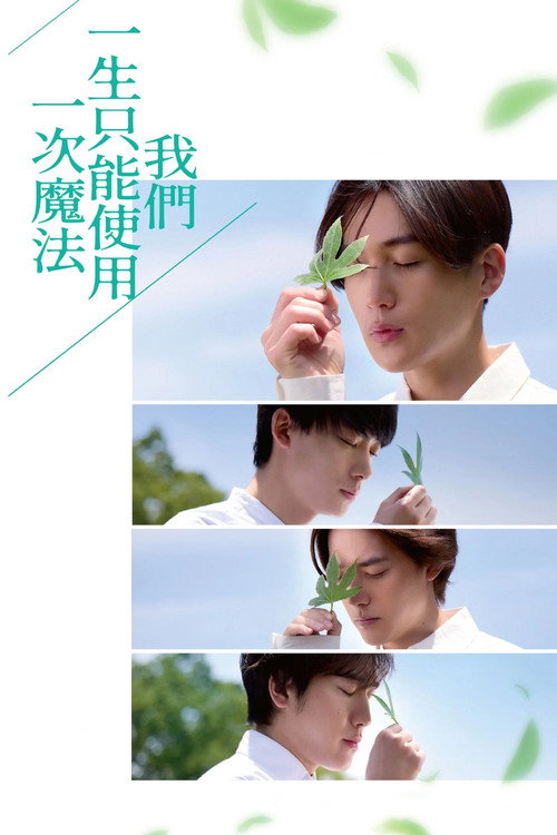 我们一生中只能使用一次魔法海报
