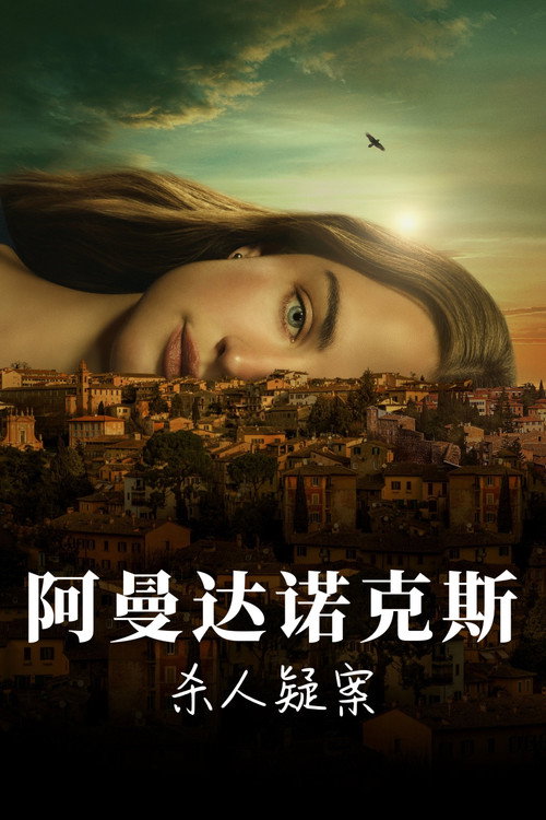 阿曼达·诺克斯杀人疑案海报