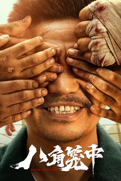 八角笼中海报