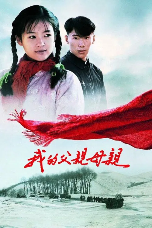 我的父亲母亲海报