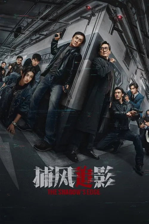 捕风追影海报