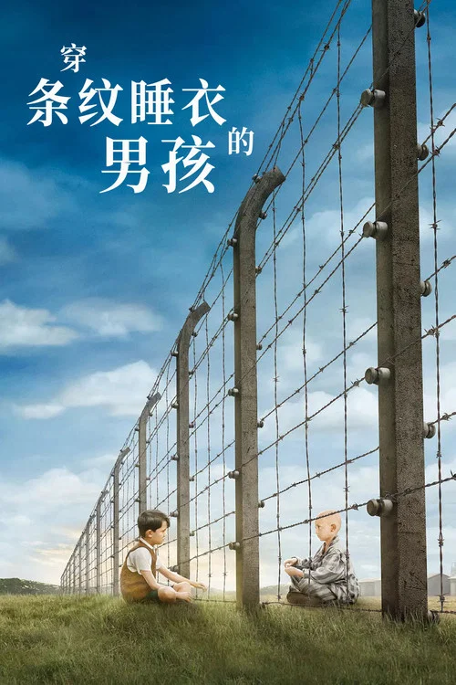 穿条纹睡衣的男孩海报