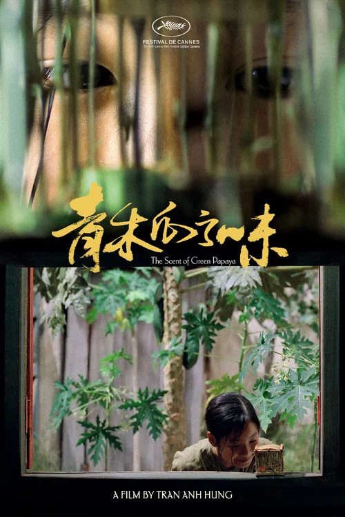 青木瓜之味海报