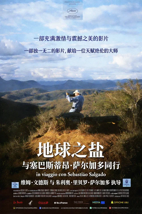 地球之盐海报