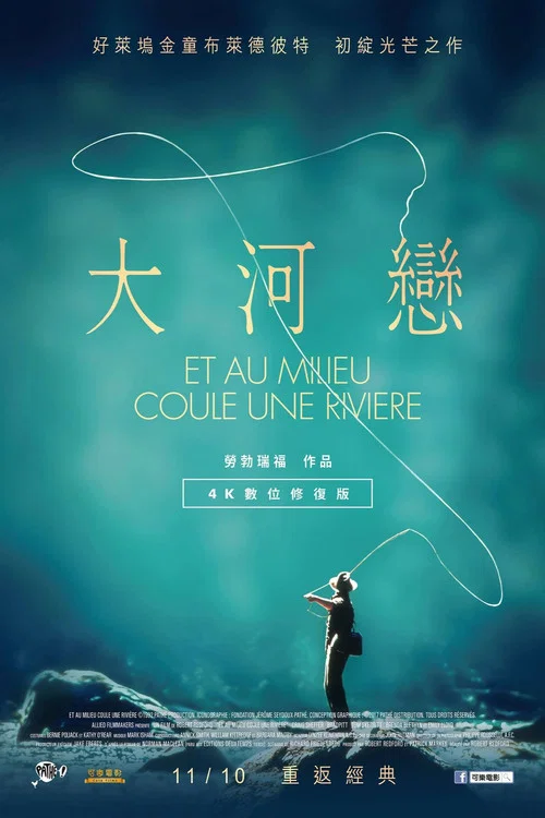 大河恋海报