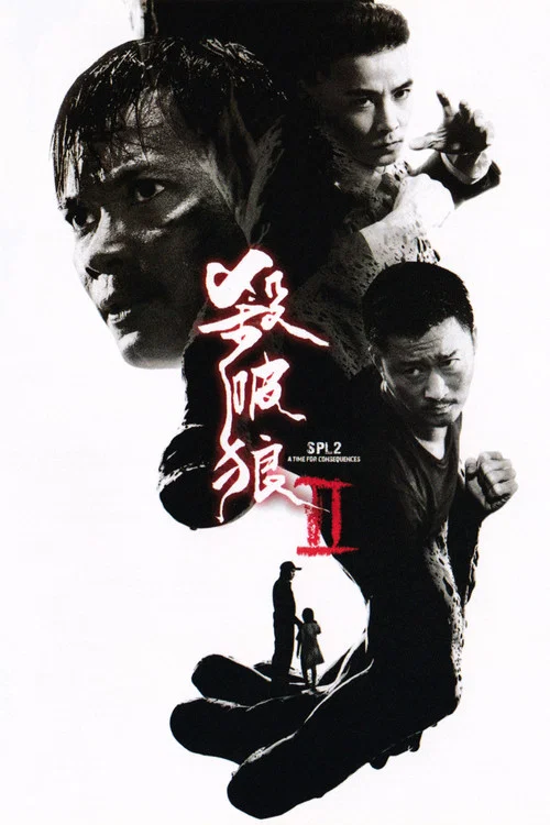 杀破狼2海报