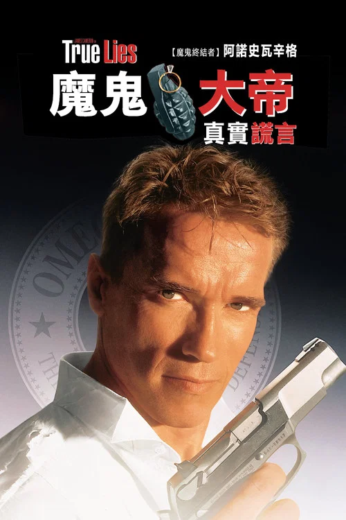 真实的谎言海报