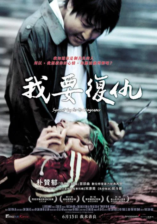 我要复仇海报