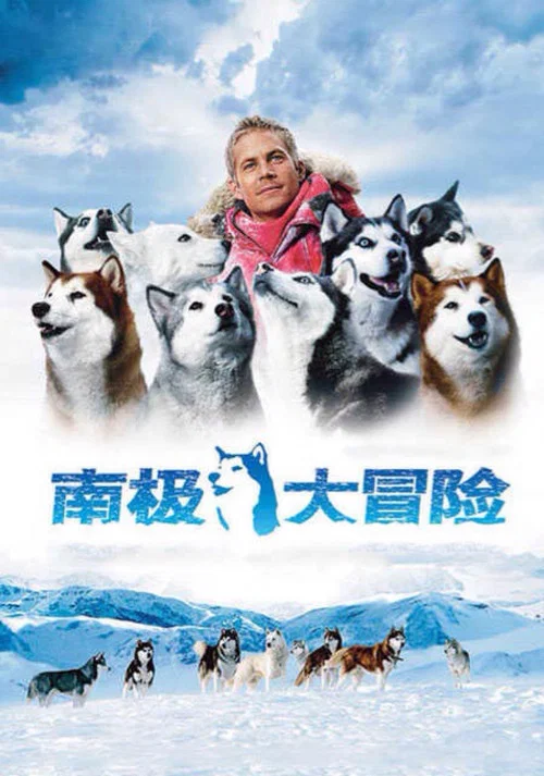 南极大冒险海报
