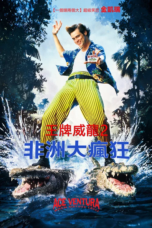 神探飞机头2海报