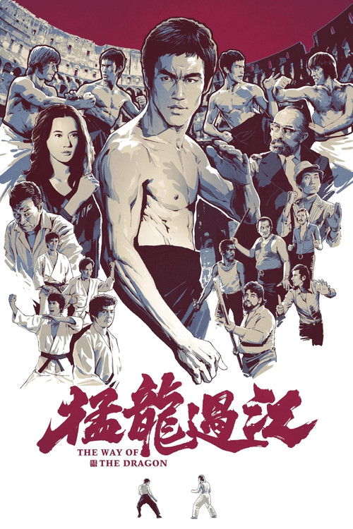 猛龙过江海报