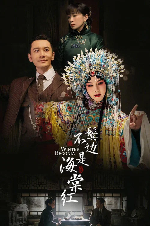鬓边不是海棠红海报