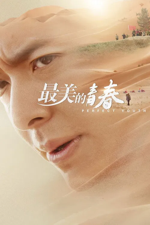 最美的青春海报