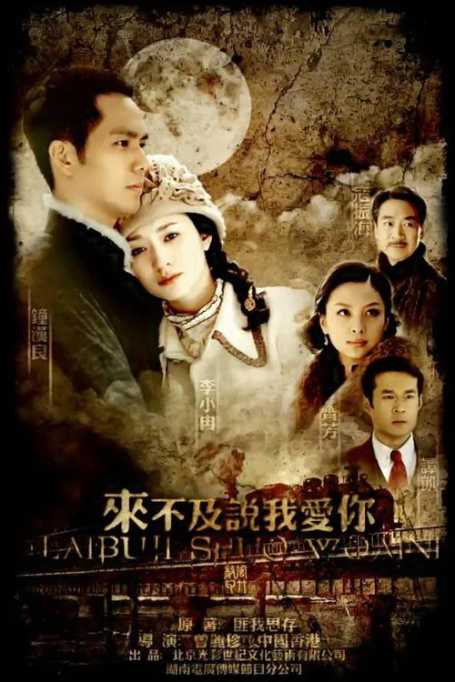 来不及说我爱你海报