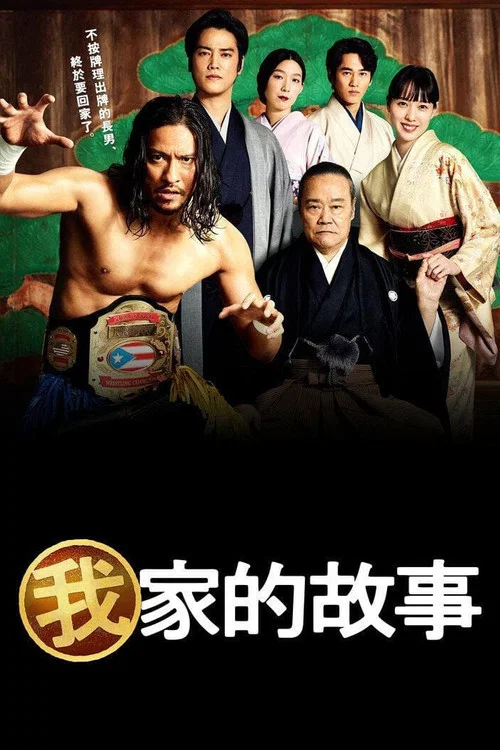 我家的故事海报
