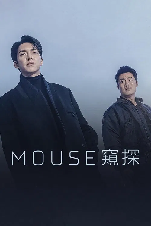 窥探海报