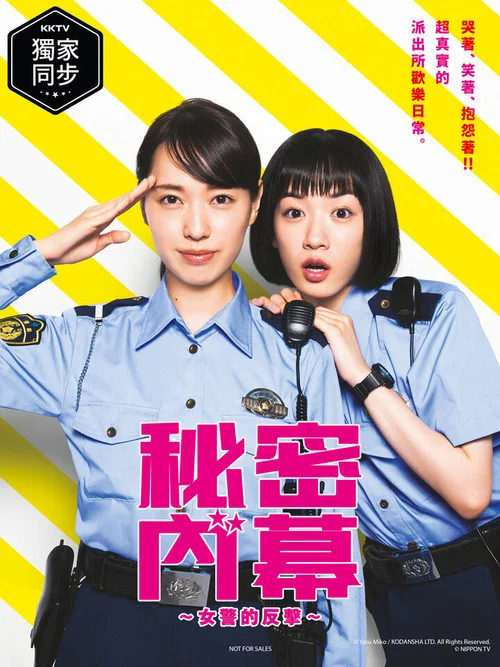 女子警察的逆袭海报