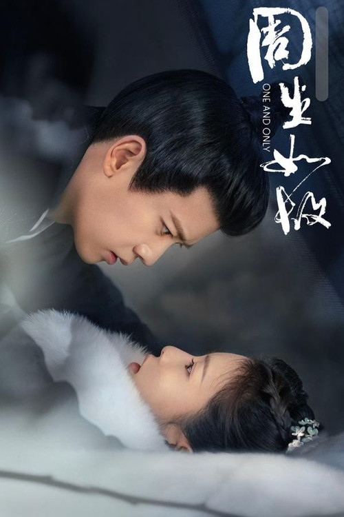 周生如故海报