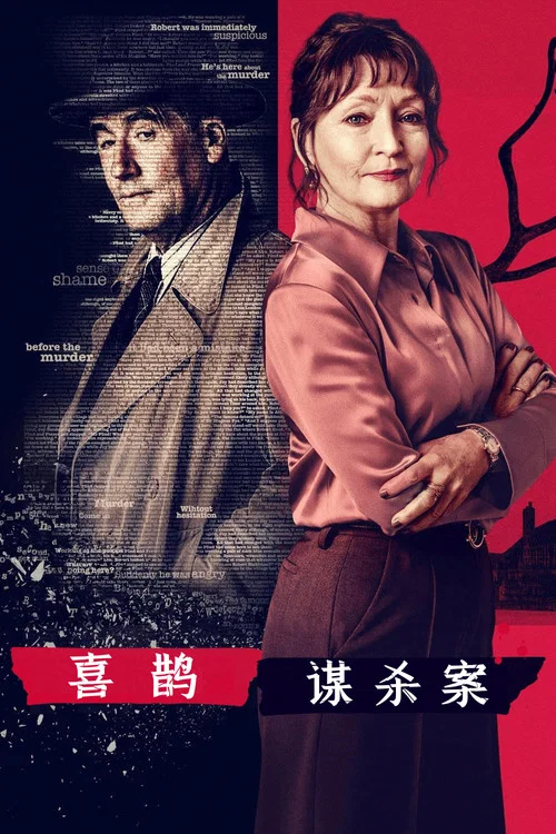 喜鹊谋杀案海报